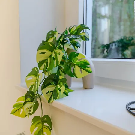 Staylight Stilvolle In Mit Fruehstueck, Kaffee, Kostenloser Parkplatz Und Wohnkueche Appartement Celle